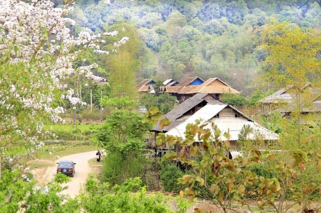 Lễ hội Hoa Ban 2023: Tạo điều kiện cho người dân, du khách được trải nghiệm trực tiếp các hoạt động  - Ảnh 2.