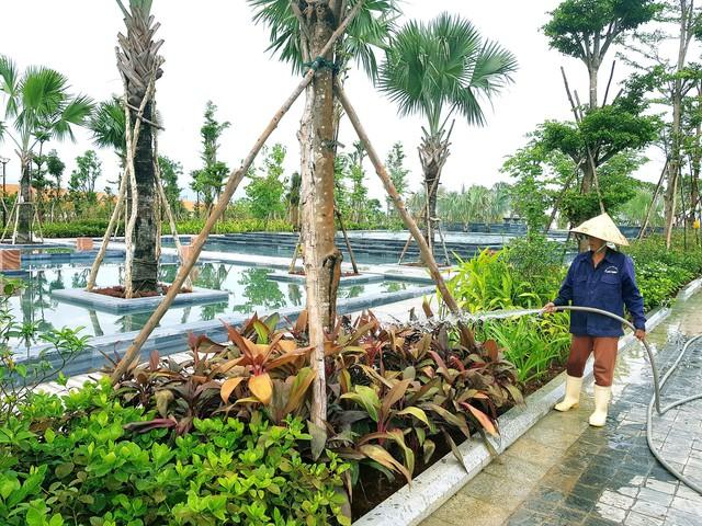 'Mong lãnh đạo TP. Đà Nẵng hãy đặt mình ở vị trí doanh nghiệp để thấu hiểu' - Ảnh 1.